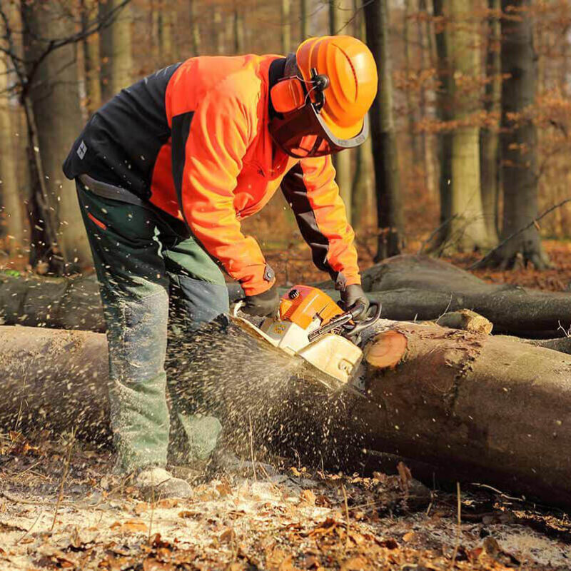Forestry & Tree care