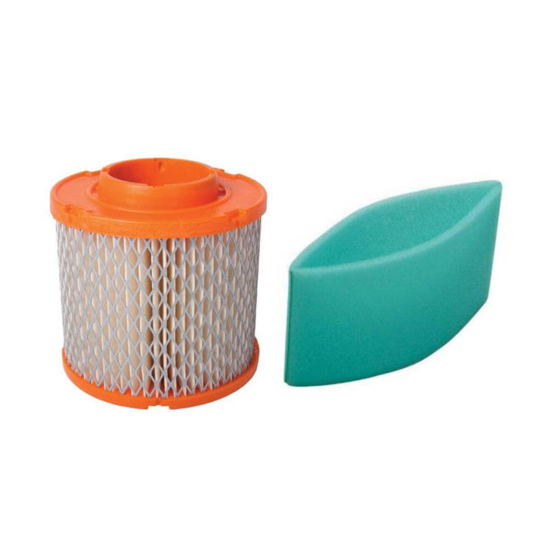 AF138 Briggs 844179 845090 271794S