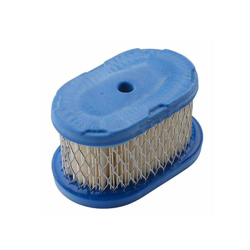 AF176 Briggs Stratton 497725 494586