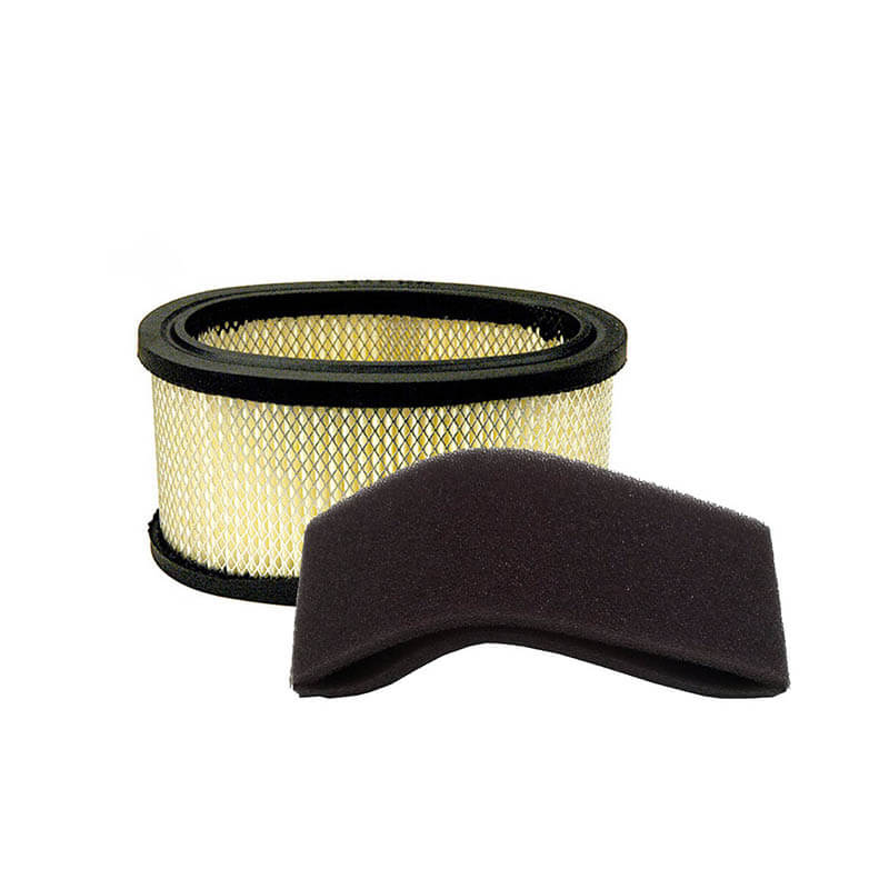 AF195 Briggs Stratton 393725 John Deere Am 37816