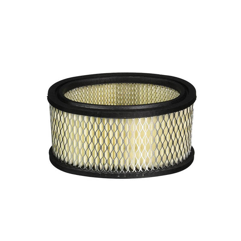 AF196 Briggs Stratton 393725 John Deere Am 37816