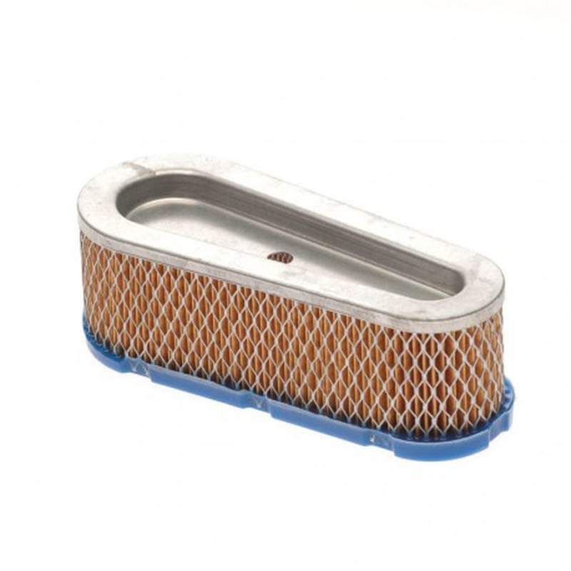 AF198 Briggs Stratton 493910 691667