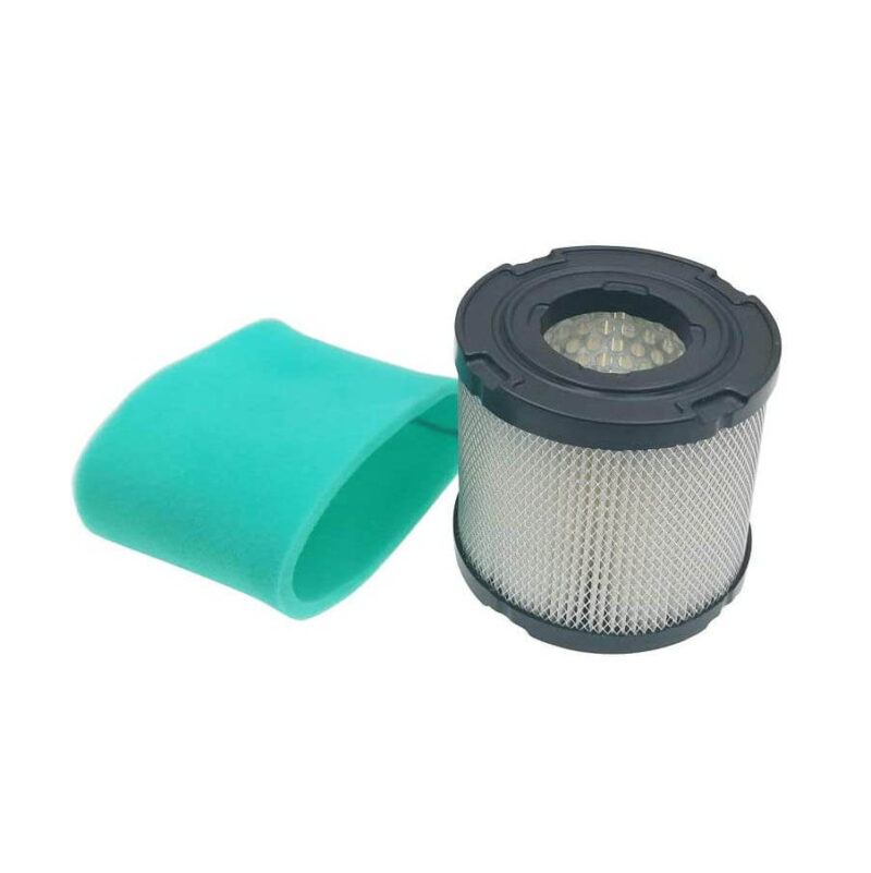 AF209 Briggs 393957390930271794S270782