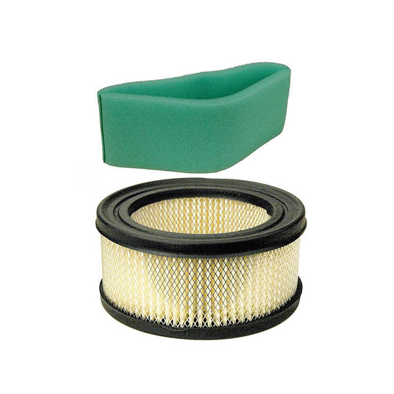 AF229 Briggs Stratton 392286251417 270973