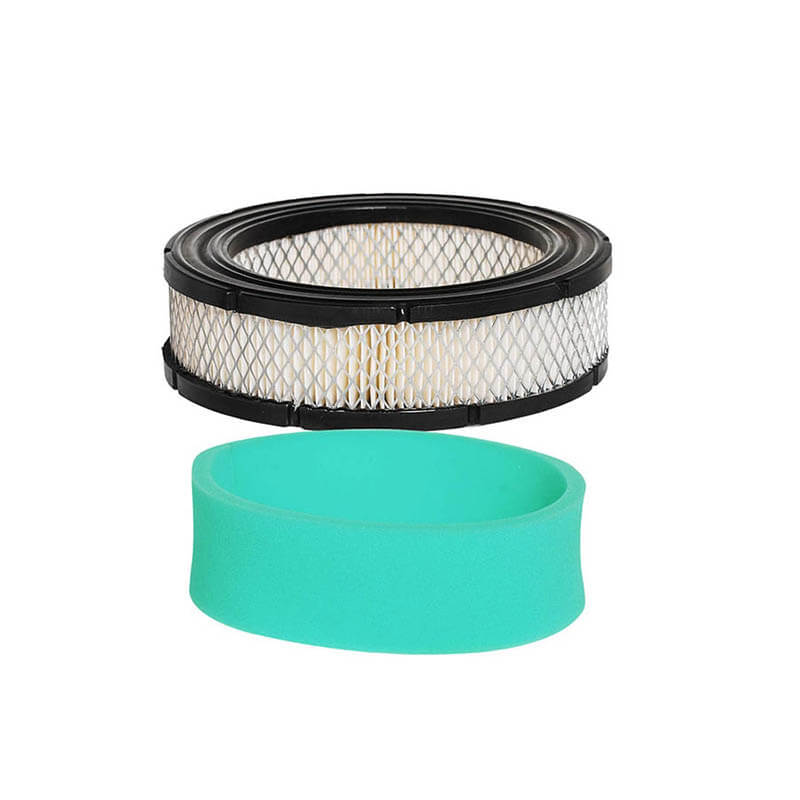 AF252 BRIGGS 806232841856 692519 692520