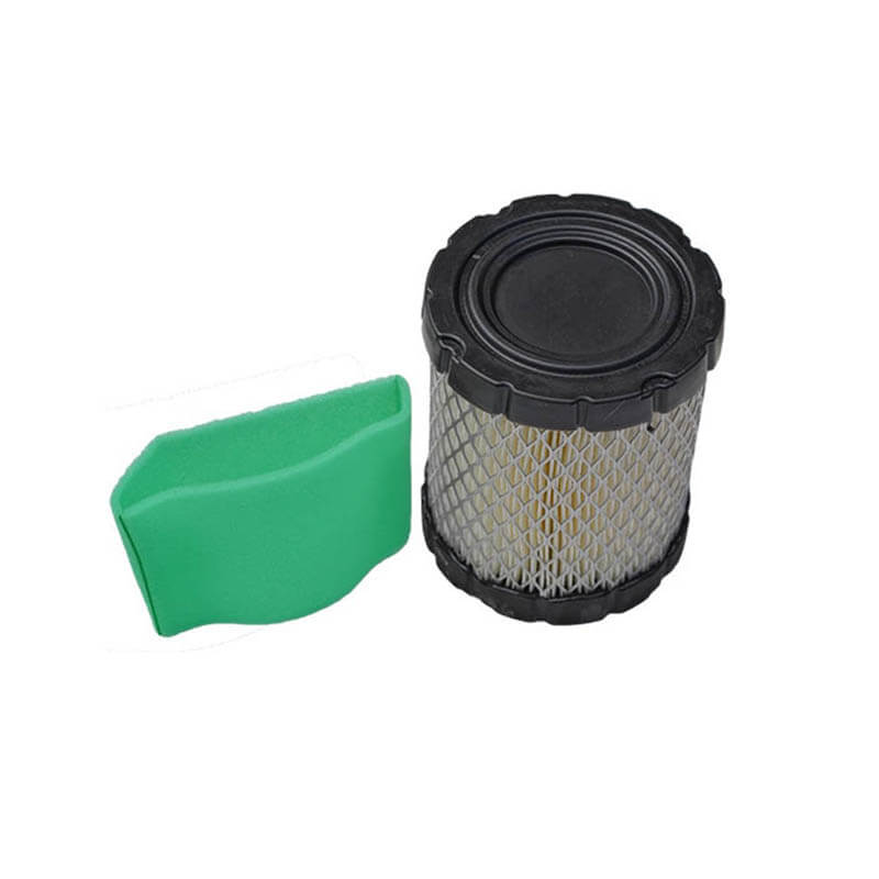 AF254 Briggs Stratton 798897；595536 593217