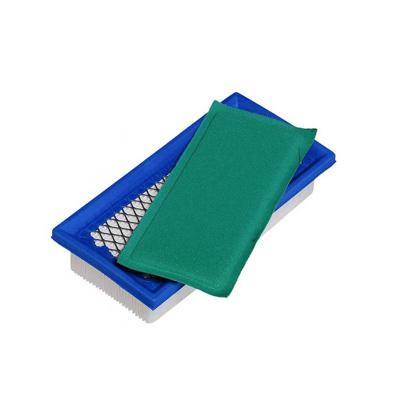 AF273 BRIGGS 496077691643 492889