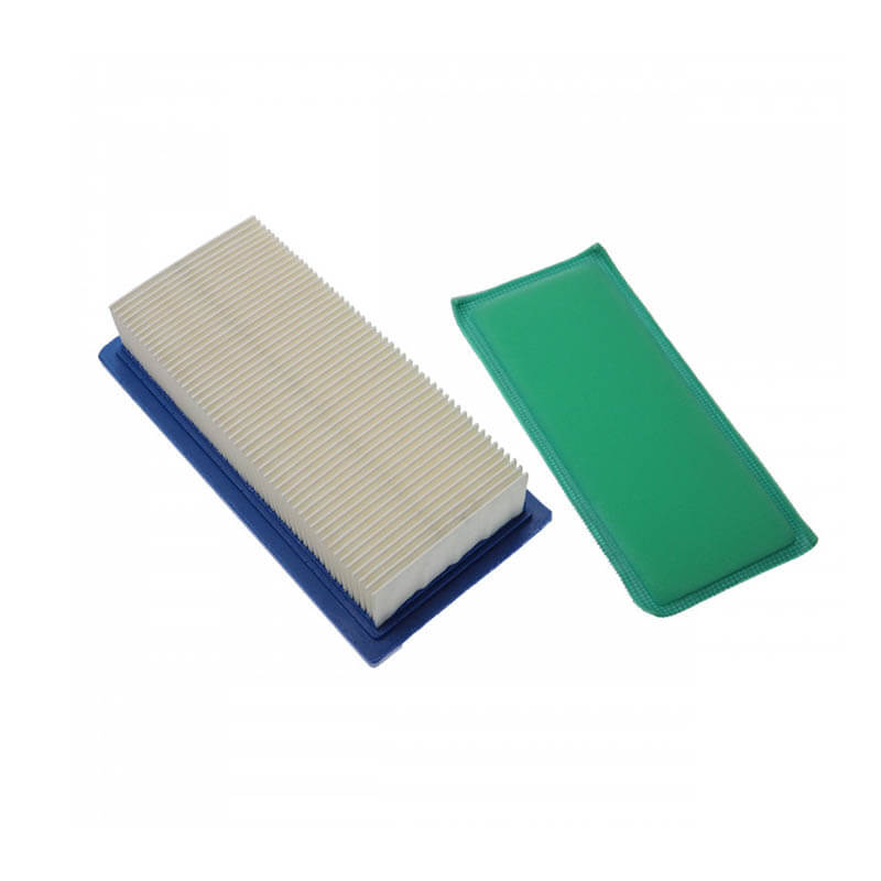 AF276 BRIGGS 491384161432 161457 492889