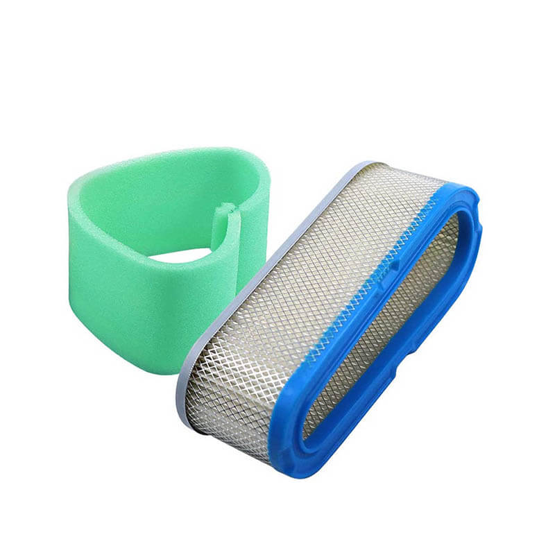 AF304 Briggs Stratton 493910 691667 272477