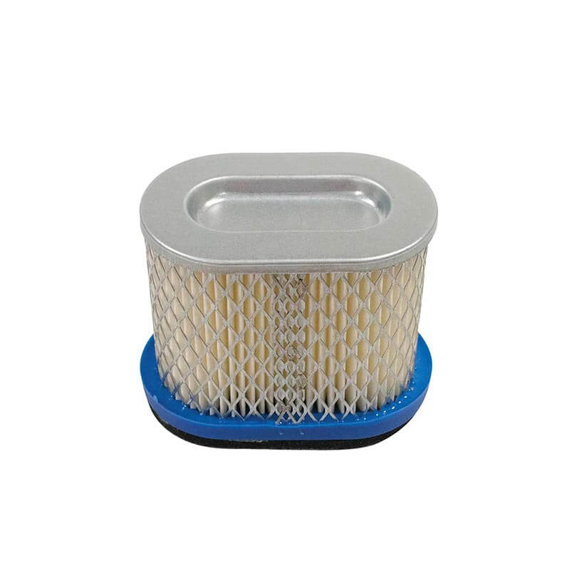 AF461 BRIGGS STRATTON 123602 123607 123672 692446.webp