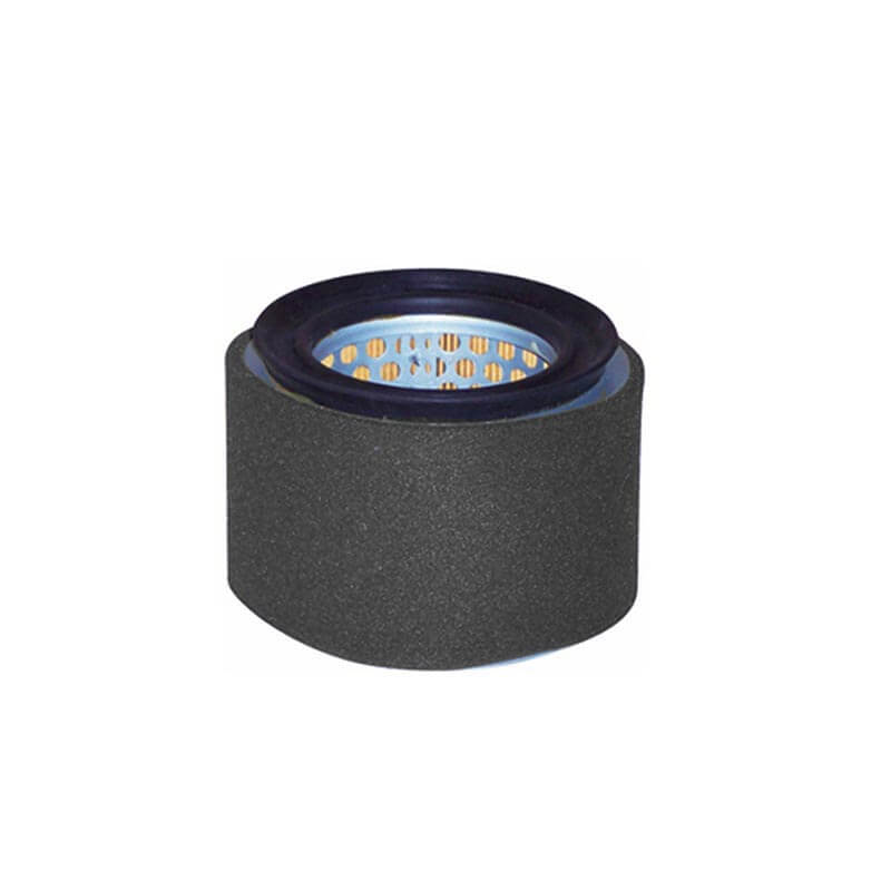 AF509 Lombardini 196.2175.120 Woodgate WGA1575