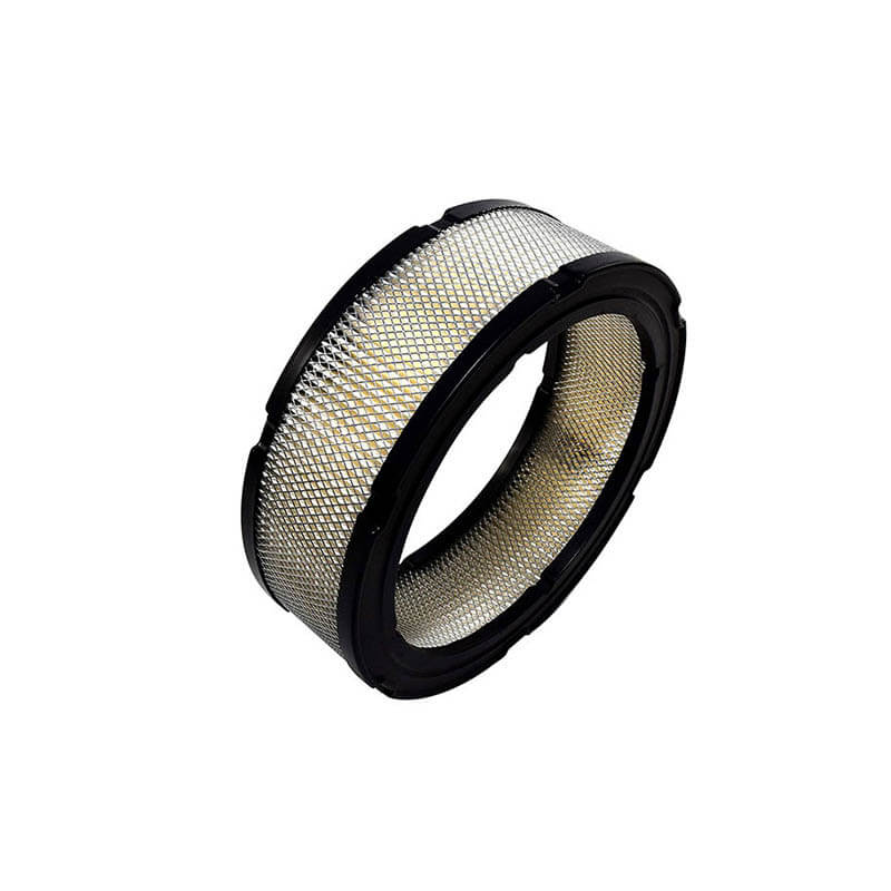 AF553 BRIGGS STRATTON 806232 841856 692519b