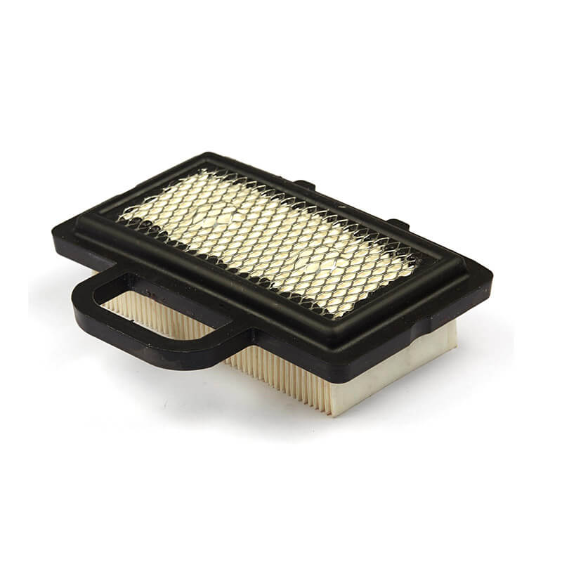 AF729 Briggs Stratton 792101