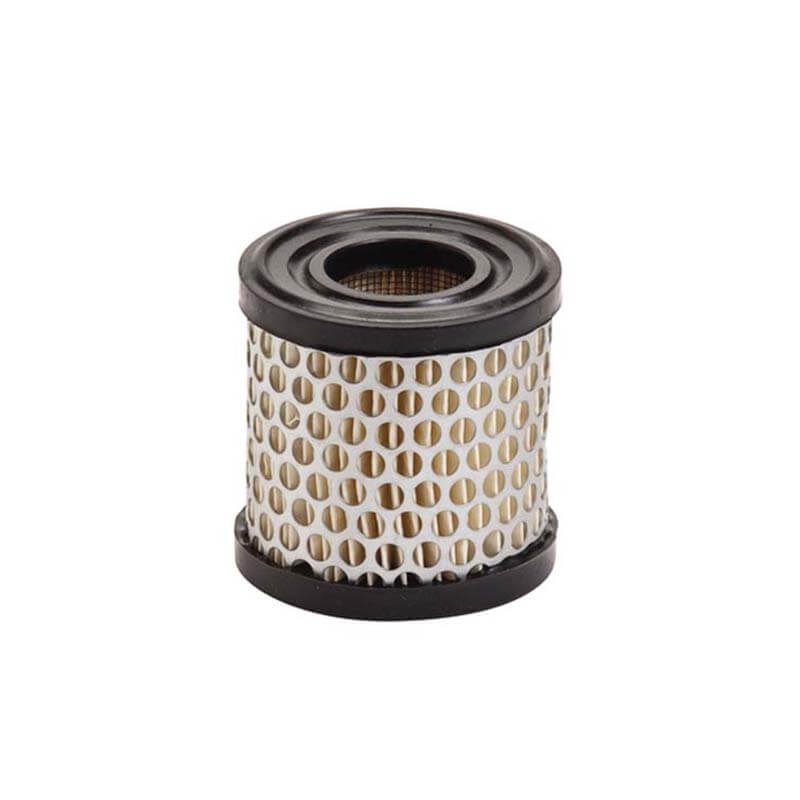 AF866 Briggs Stratton 392308S