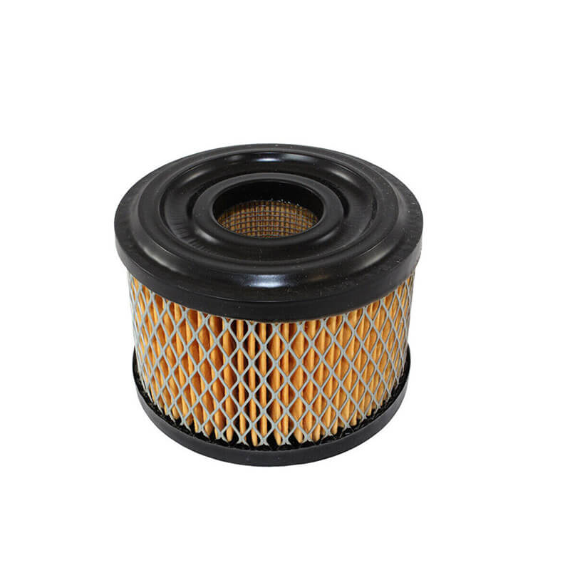 AF877 Briggs Stratton 390492