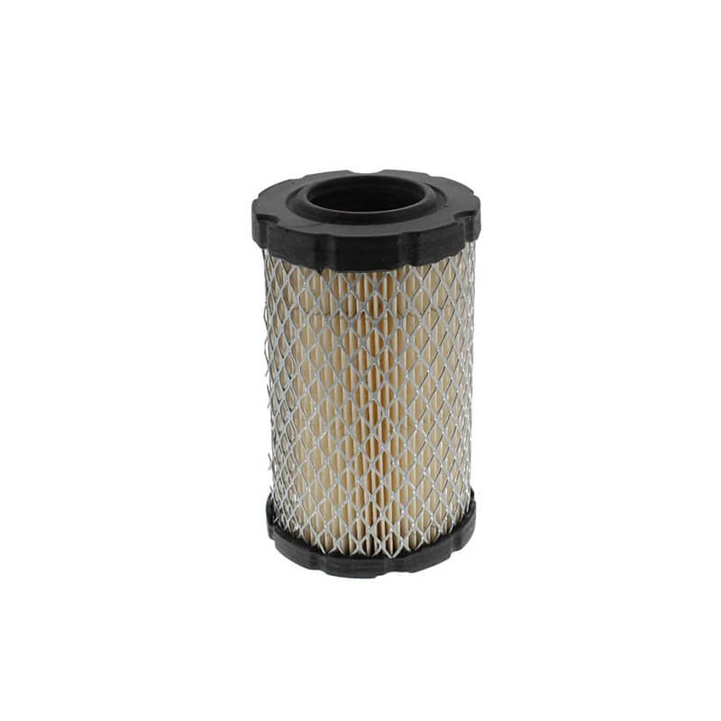 AF882 Briggs Stratton 590825.webp