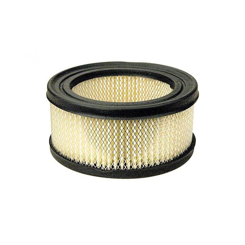 AF900 Briggs Stratton 392286 251417