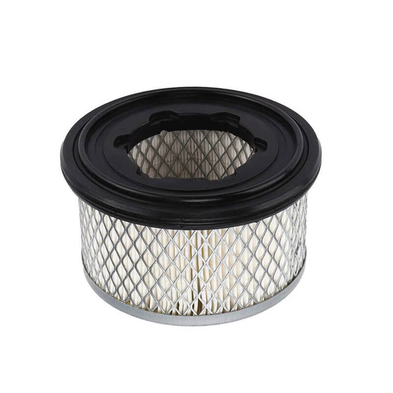 AF918 LOMBARDINI 2175306 ED2175306.webp