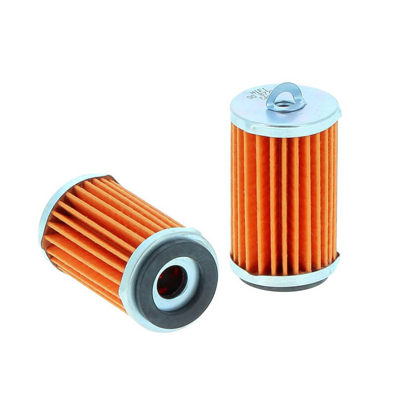 AF919 LOMBARDINI 710.2175.25