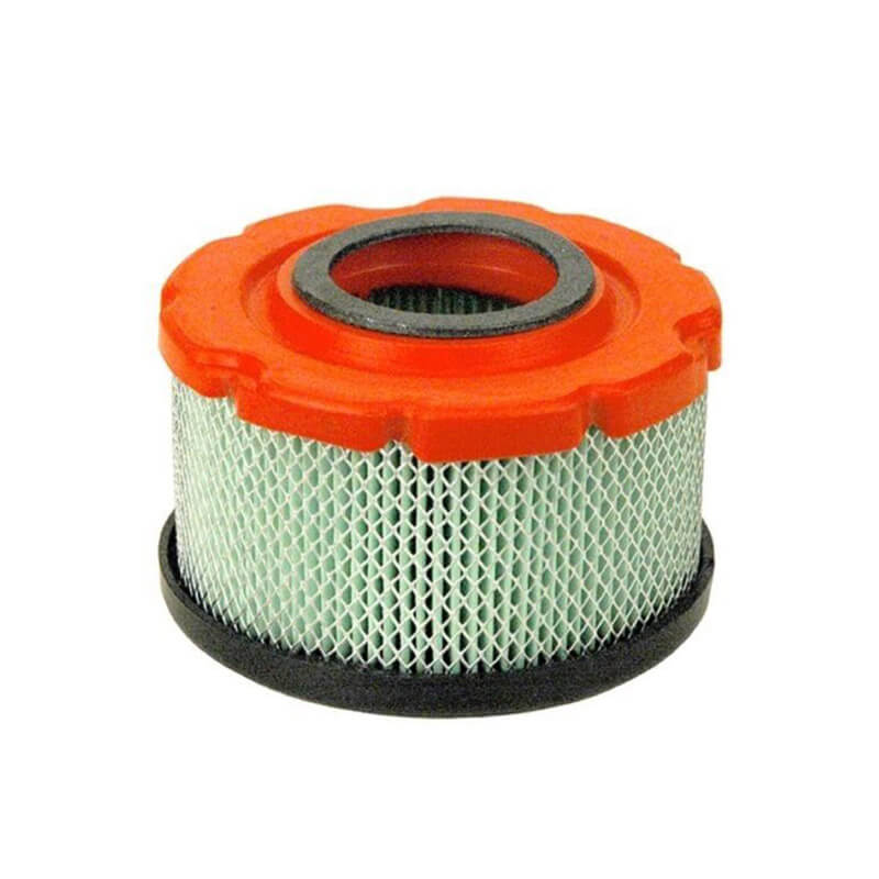 AF983 BRIGGS STRATTON 797819 10T802 5425